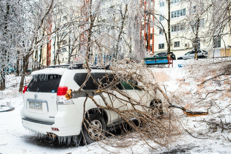 ����� ������� ������: ���������� �����