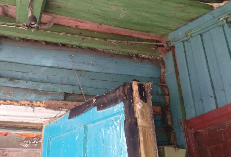 73 000 ������ �� ������� �� ����� �����. ���������� �������� �������� ���������� �� �����������